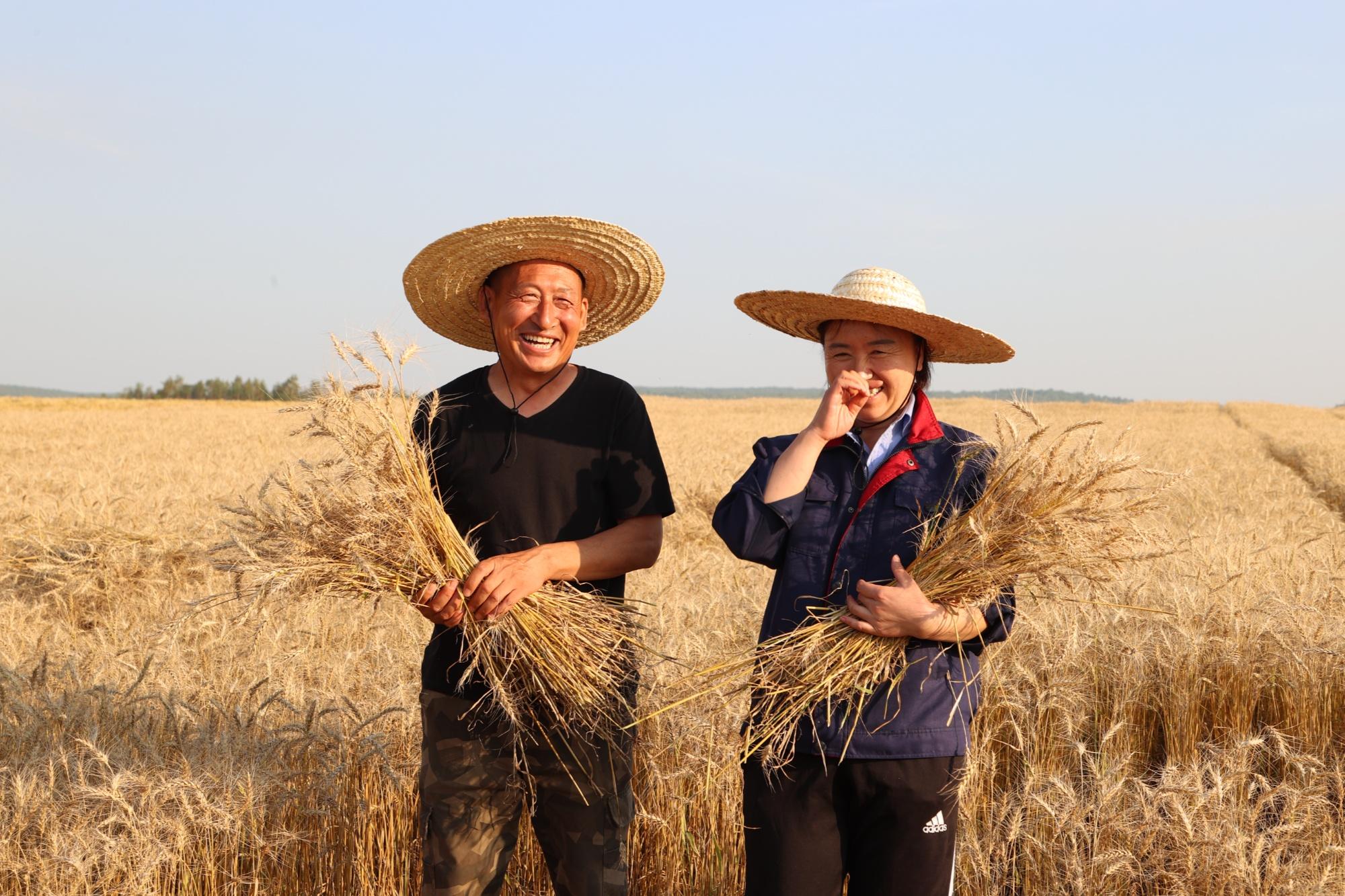 大国粮仓，粮食安全的基石与国家发展的支柱_动态词语解释落实