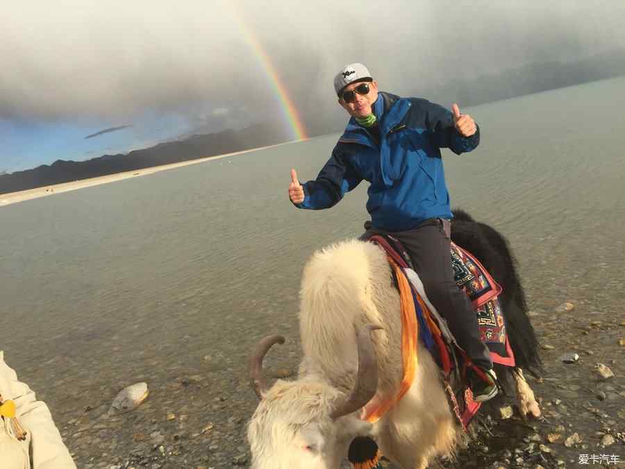 网友在西藏林芝旅游偶遇姜子牙坐骑，神秘之旅揭秘传奇故事_反馈机制和流程