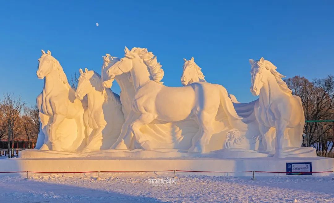 马英九与台青共赴哈尔滨体验雪雕技艺之旅_执行落实