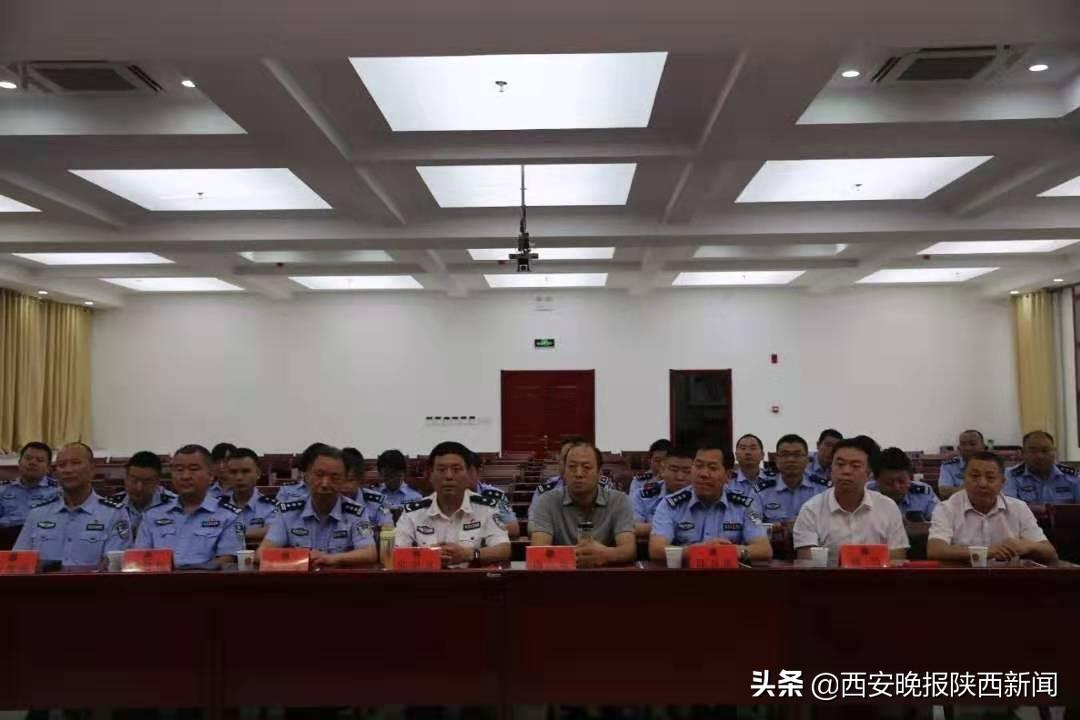 我是刑警群演是真警察政委_反馈总结和评估