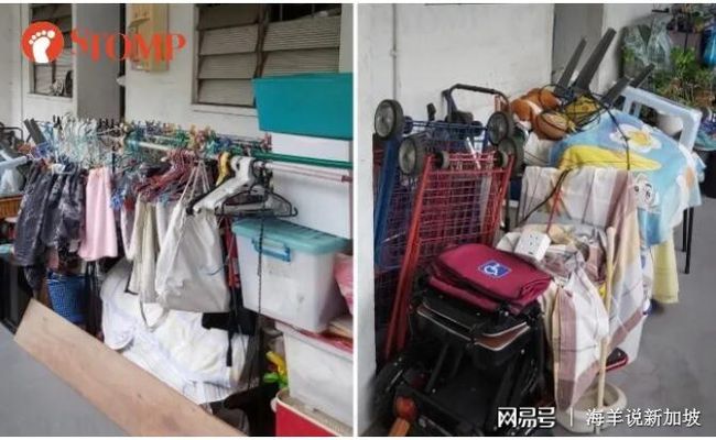 租客巧妙改造客厅，养鸡场的诞生与和谐共融之道