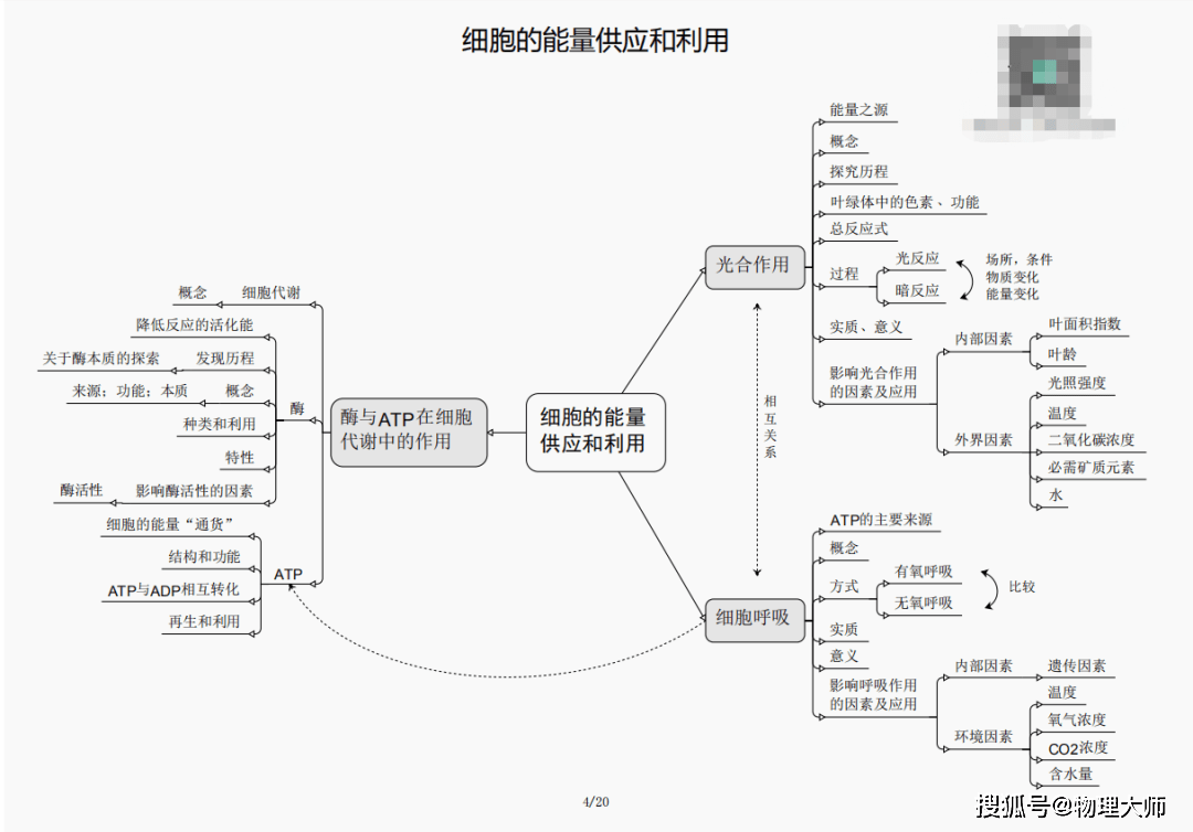 黄大仙三肖三码必中澳门_精英版49.776