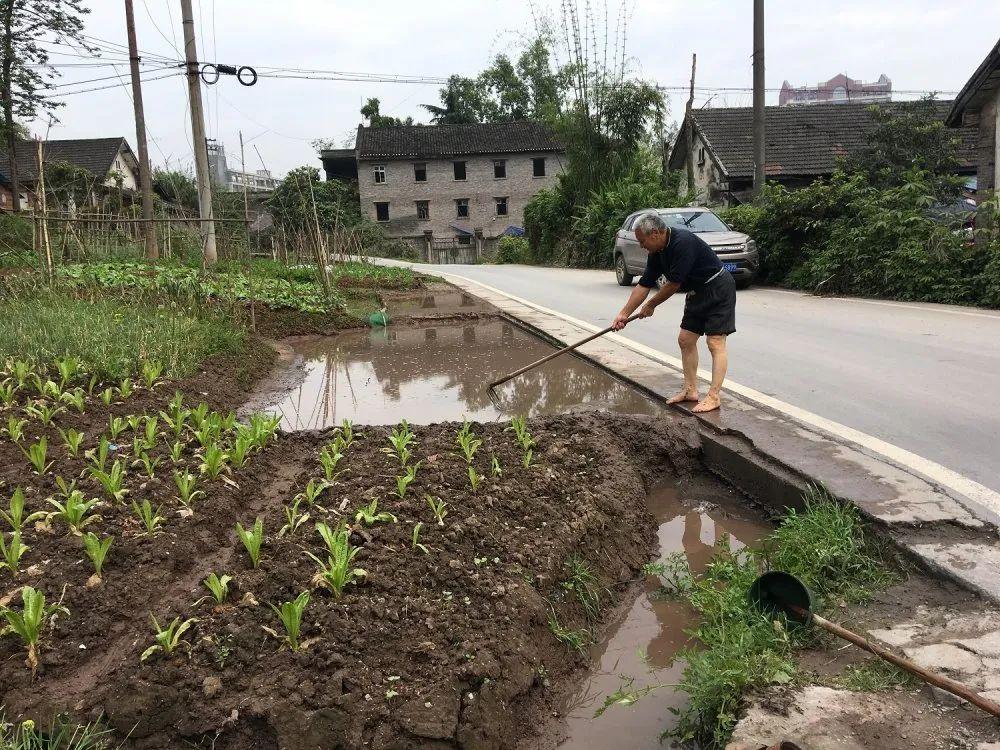 祖孙失踪背后的悲剧，菜园遭遇邻居残忍杀害