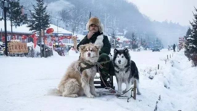 哈尔滨雪人制作标准——塑造冰雪奇缘的艺术指南