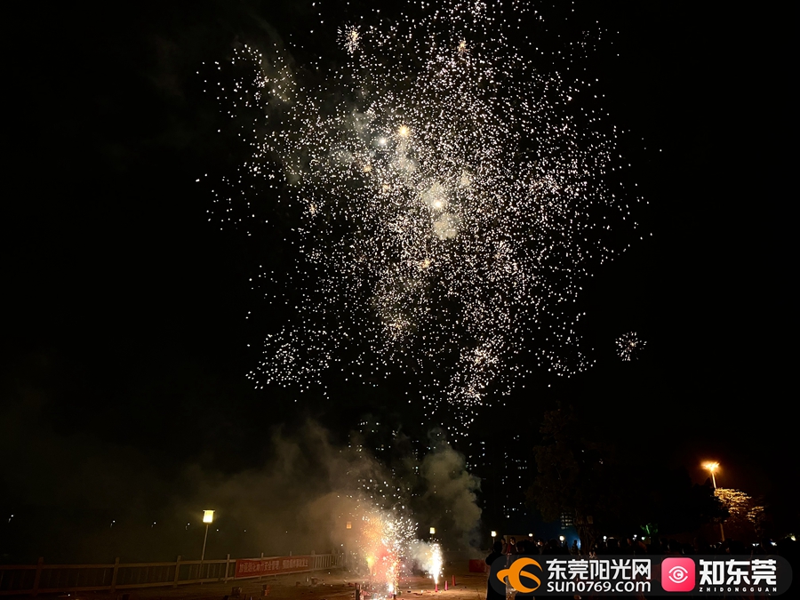 东莞虎门辟谣跨年夜举办烟花秀，真相与公众期待的碰撞