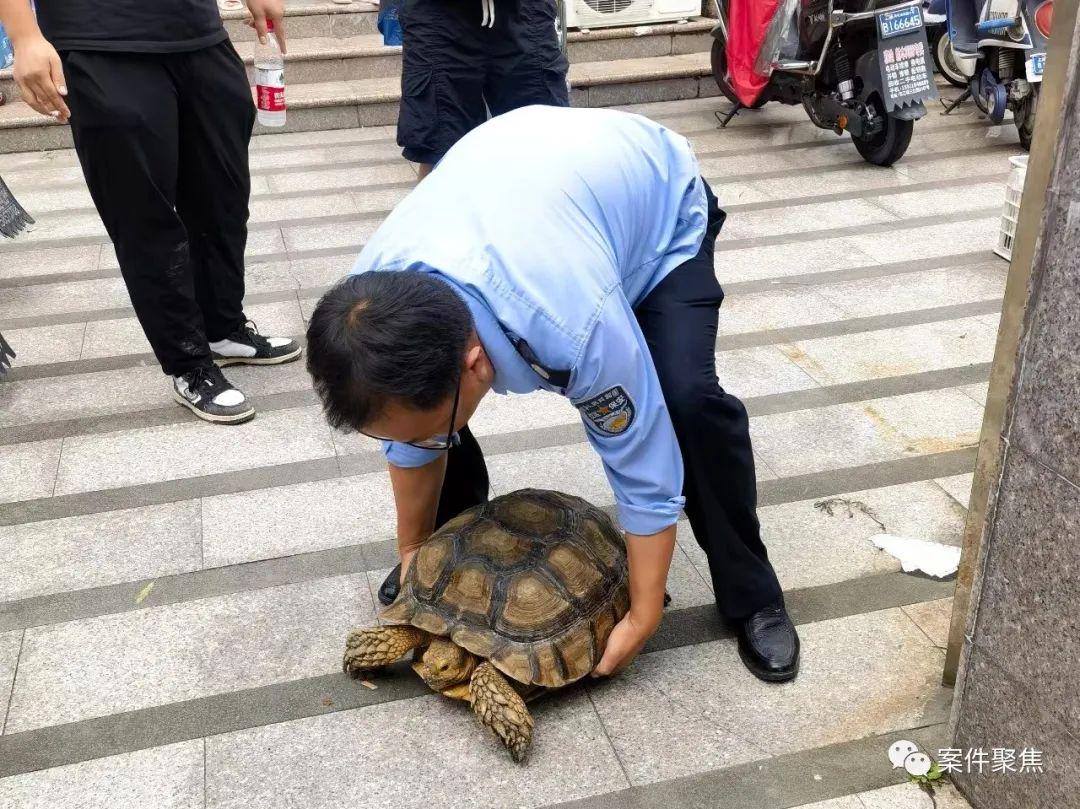 下水道捡到国家一级保护动物该如何处罚