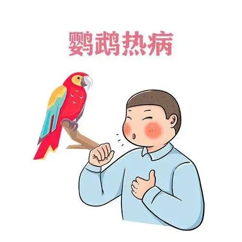 人得鹦鹉热会死吗?