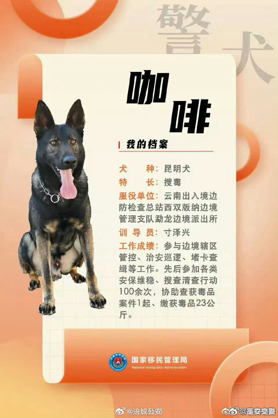 警犬因上班没精神被通报批评，责任与关怀的反思