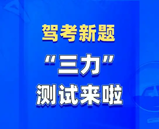 2024新奥精准资料免费——应对转型的挑战