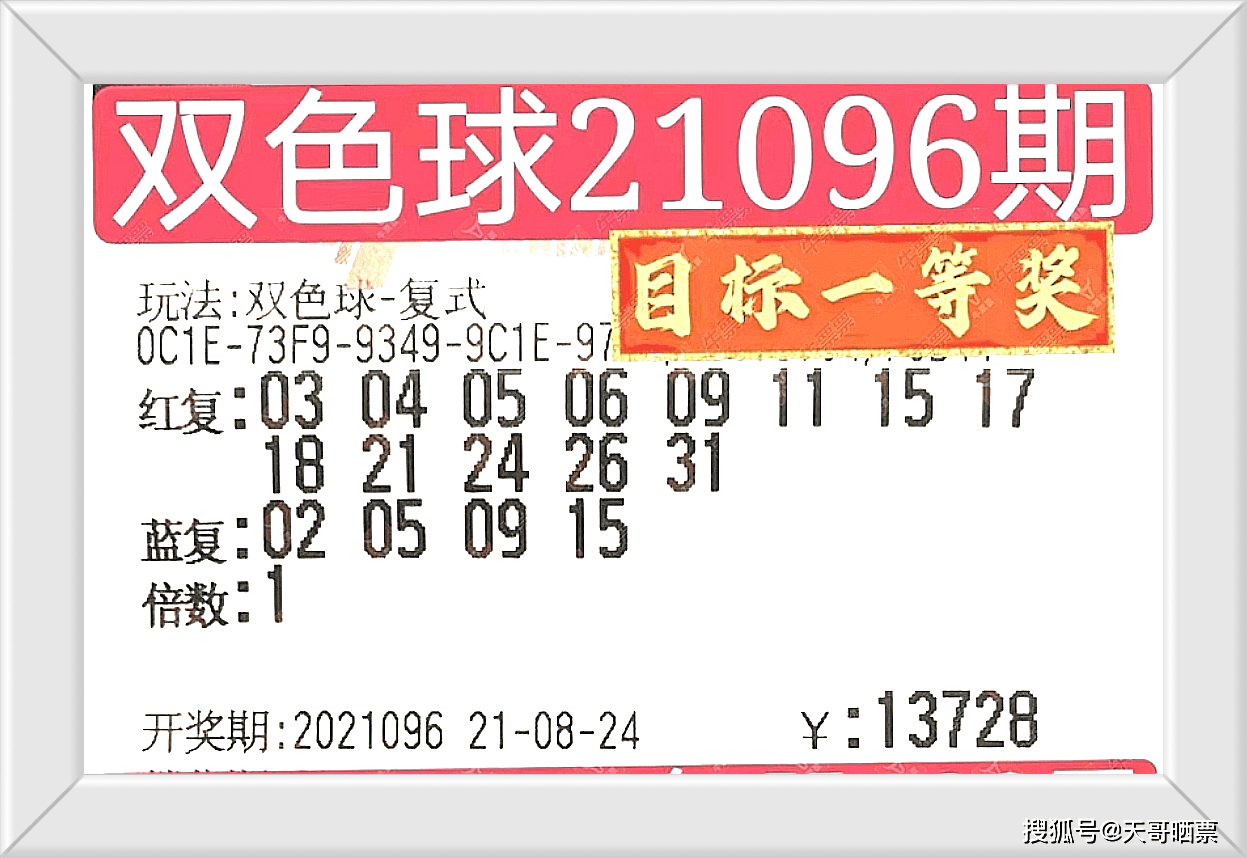 2024澳门特马今晚开什么码