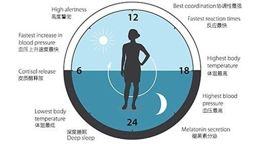 习惯晚睡的人要调整作息吗，深度解析与健康建议