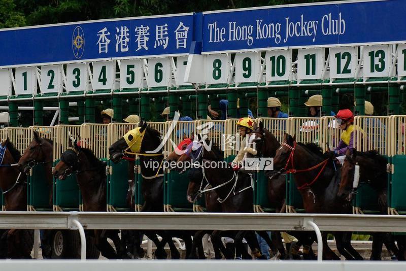 香港马买马网站www——内部报告与数据分析方法