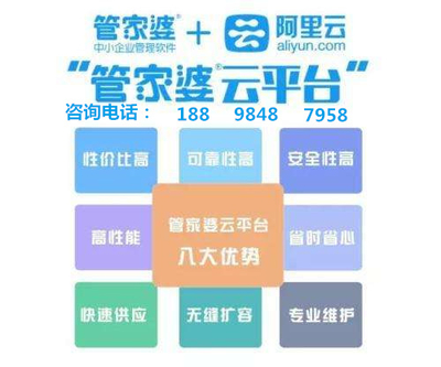 7777888888精准新管家——内部报告与市场机会分析