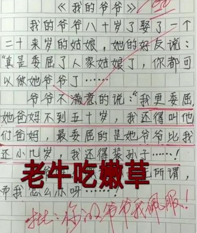 动物园虎尿卖50元，揭秘背后的秘密与故事