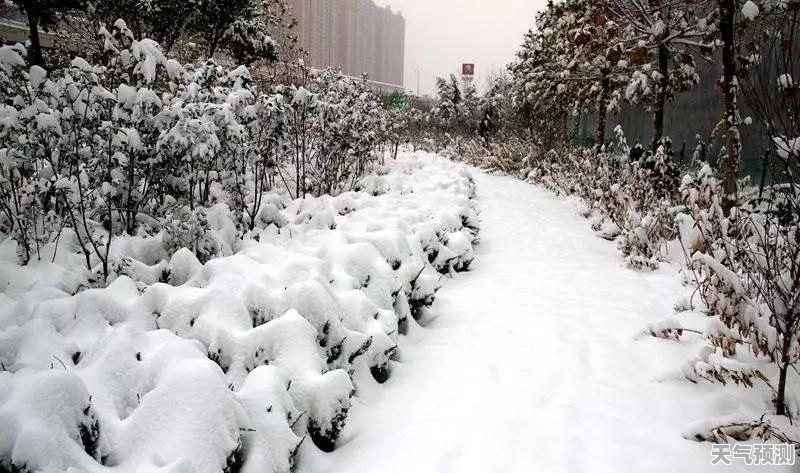 郑州初雪只下了半小时？专家回应