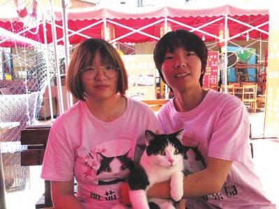 春节上门喂猫收入1.5万