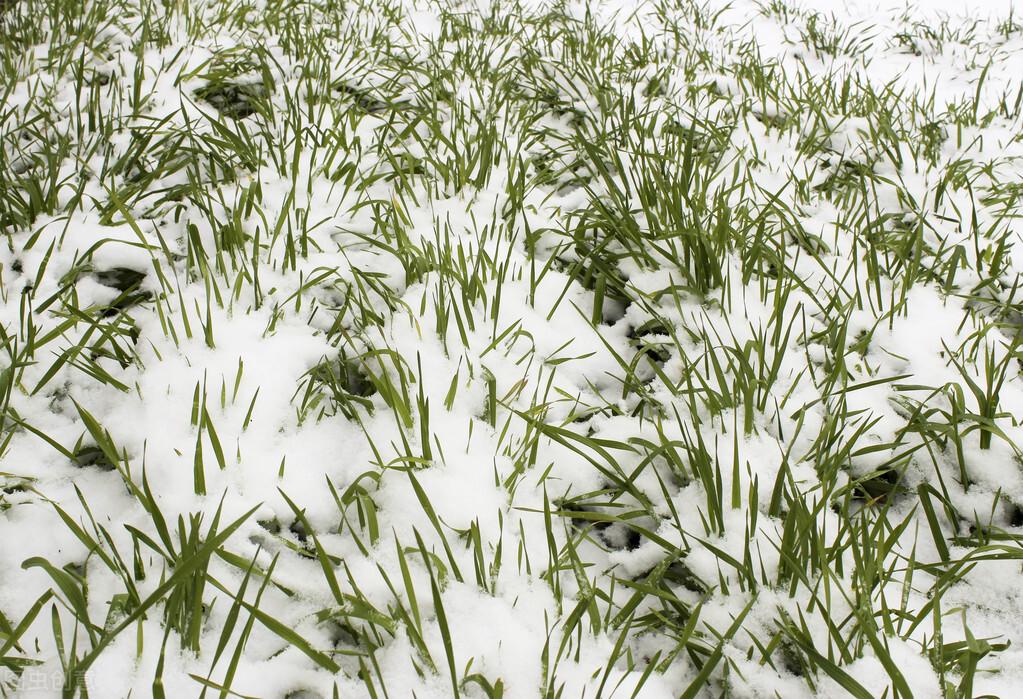 新一轮雨雪即将上线，影响及应对措施