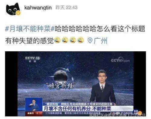 揭秘专家担忧，乌克兰恐成大国交易牺牲品背后的真相