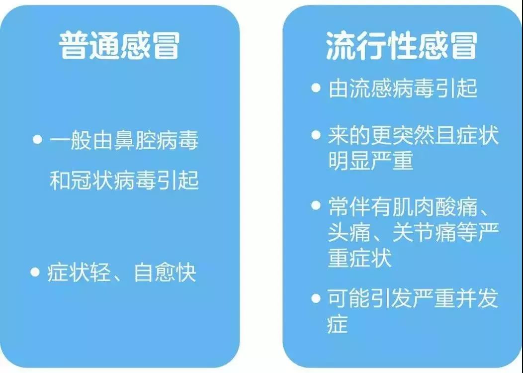 动态教程 第138页