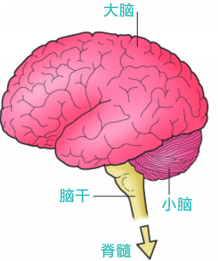 最新资讯 第92页