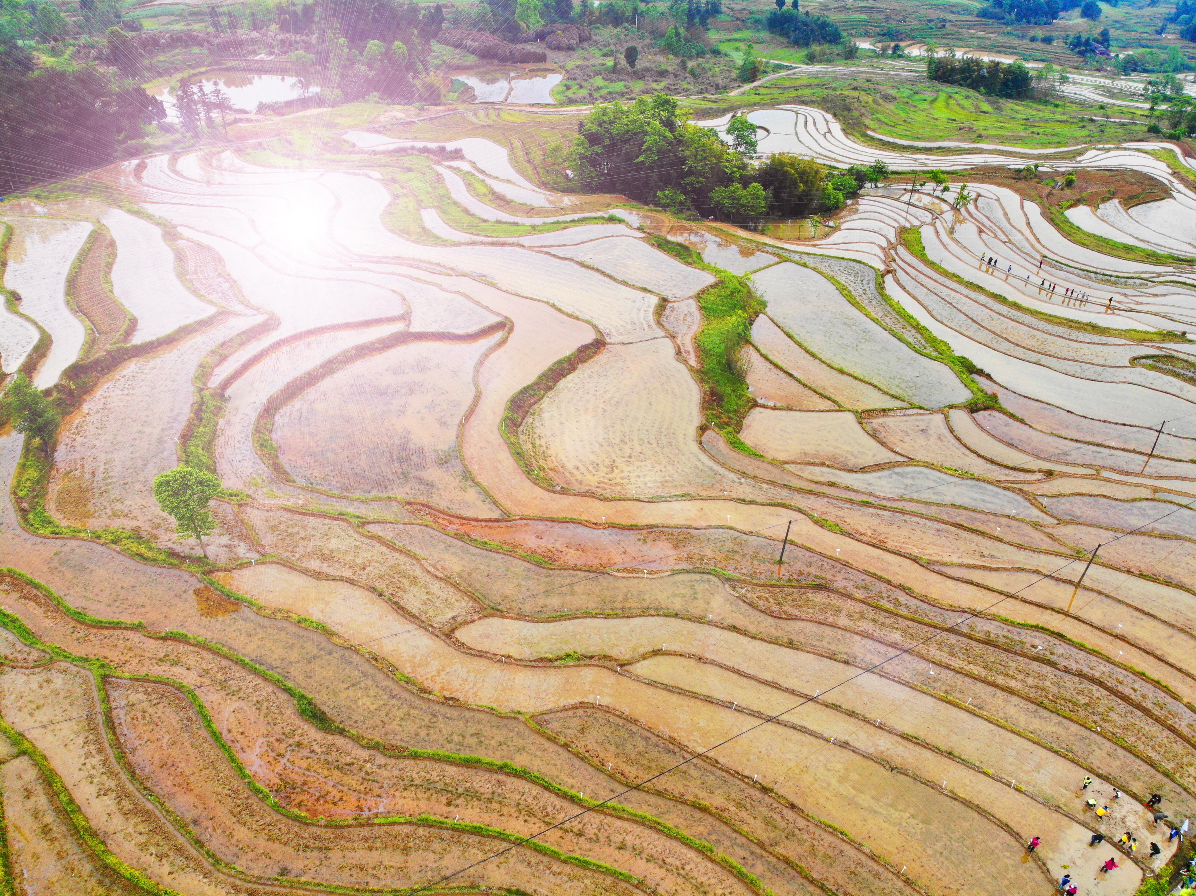 大地资源二3在线观看免费高清贯彻落实,大地资源二3在线观看免费高清_MT17.871