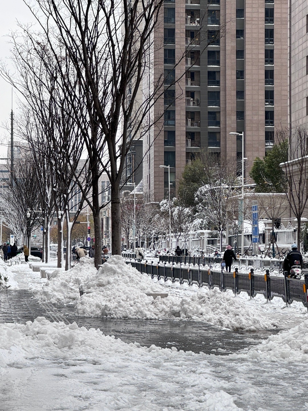 郑州下雪了