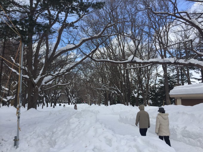 黄山雪季惊魂！大雪致游客意外滑落，安全警钟再次敲响