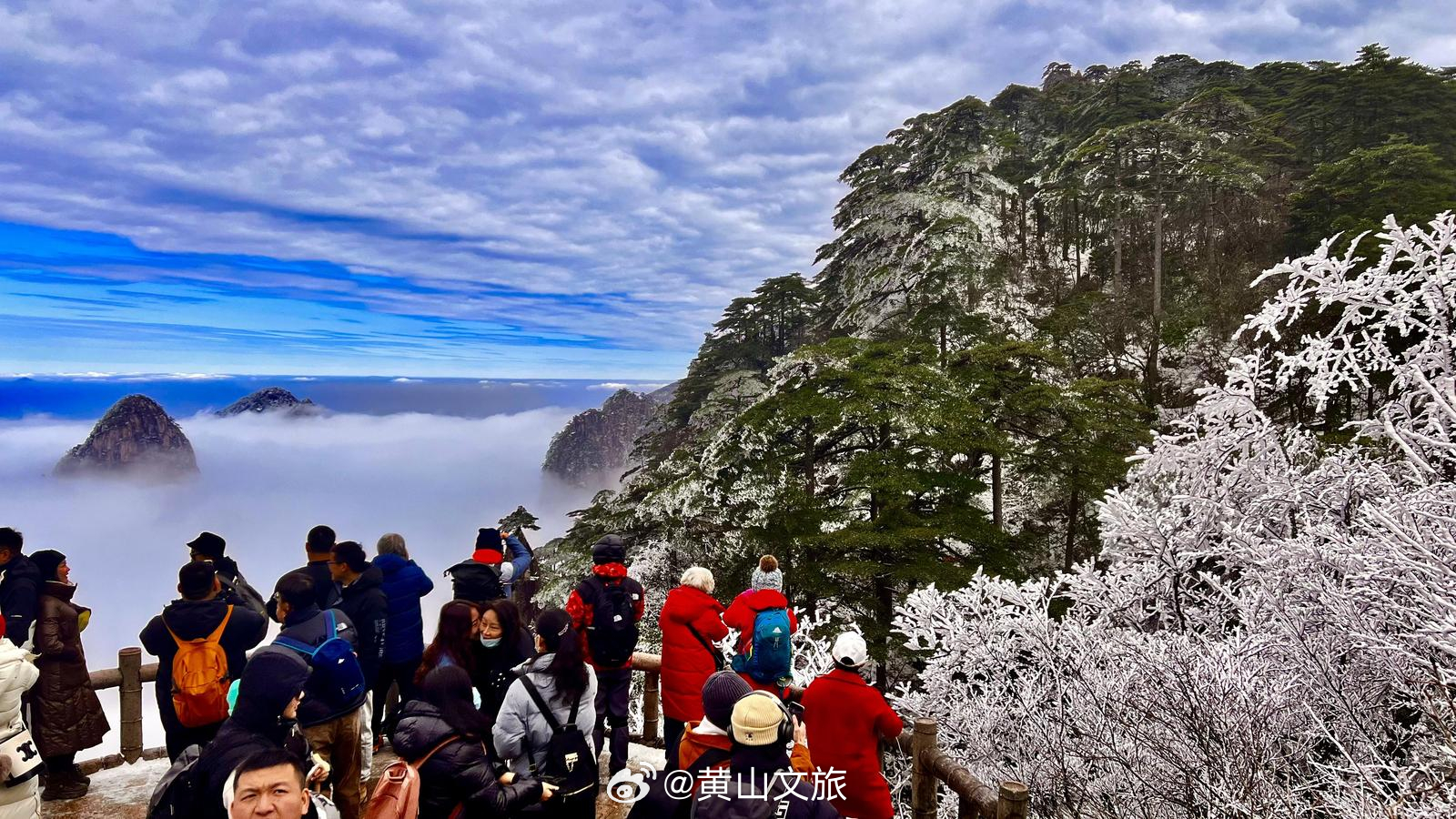 黄山女神特惠周，七天免费畅游，你还在等什么？揭秘背后的故事与细节！