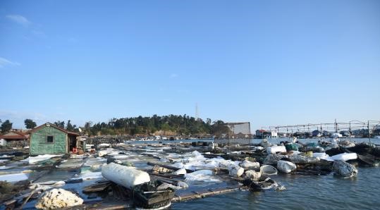 福建海岛大量生活垃圾排海 官方回应